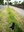 FB_IMG_1716167217516.jpg