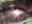 FB_IMG_1716167223952.jpg