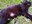 FB_IMG_1716167227996.jpg