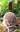FB_IMG_1718220108534.jpg