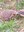 FB_IMG_1718220113039.jpg