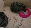 FB_IMG_1719862070282.jpg