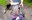 FB_IMG_1720916840534.jpg