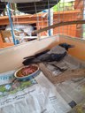 FB_IMG_1720916844523.jpg