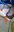 FB_IMG_1721733448899.jpg