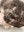 FB_IMG_1725545970106.jpg