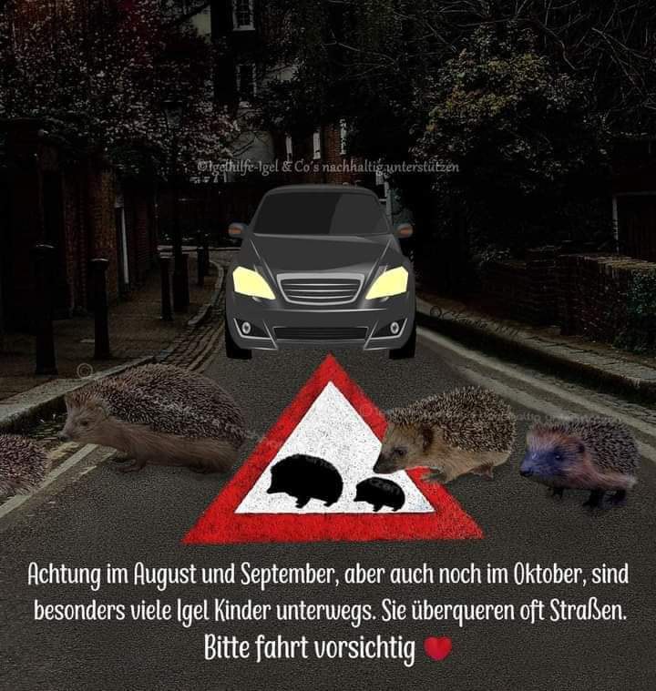 FB_IMG_1726084304232.jpg