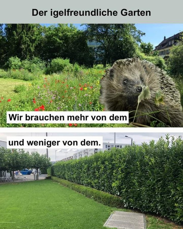 FB_IMG_1726084310057.jpg