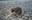 FB_IMG_1727458480934.jpg