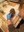 FB_IMG_1729880569136.jpg