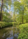 FB_IMG_1748729736797.jpg