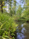 FB_IMG_1748729740150.jpg