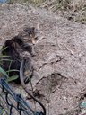 FB_IMG_1749472086724.jpg