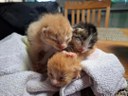 FB_IMG_1749472090891.jpg
