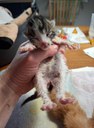 FB_IMG_1749472103775.jpg