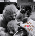 FB_IMG_1749472123670.jpg