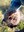 FB_IMG_1749475528586.jpg