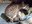 FB_IMG_1750093881990.jpg