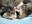 FB_IMG_1750093885738.jpg