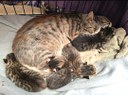 FB_IMG_1750093907228.jpg