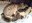FB_IMG_1750093907228.jpg