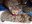 FB_IMG_1750093914645.jpg
