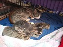 FB_IMG_1750093918422.jpg