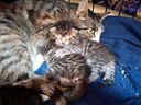 FB_IMG_1750093922690.jpg