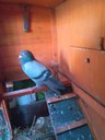 FB_IMG_1751736128767.jpg