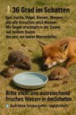 FB_IMG_1751736133725.jpg