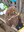 FB_IMG_1751893253247.jpg