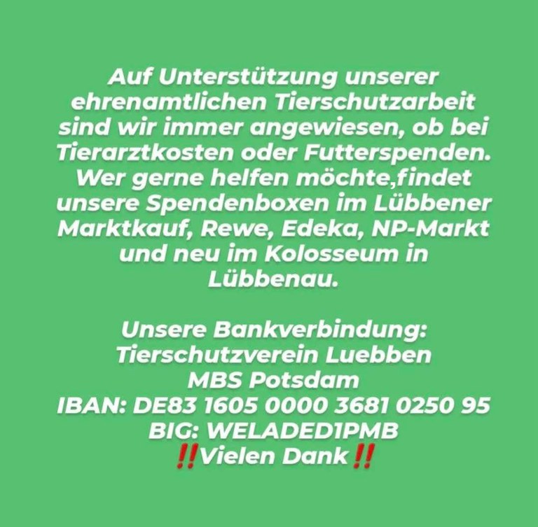 FB_IMG_1753884353823.jpg
