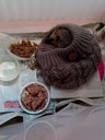 FB_IMG_1759938095096.jpg