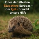 FB_IMG_1759938115248.jpg