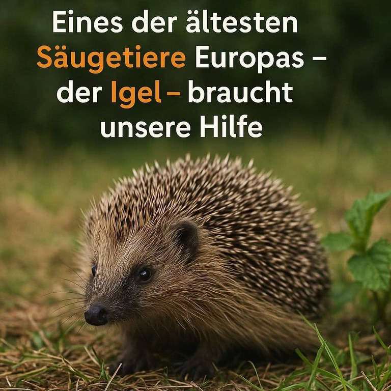 FB_IMG_1759938115248.jpg