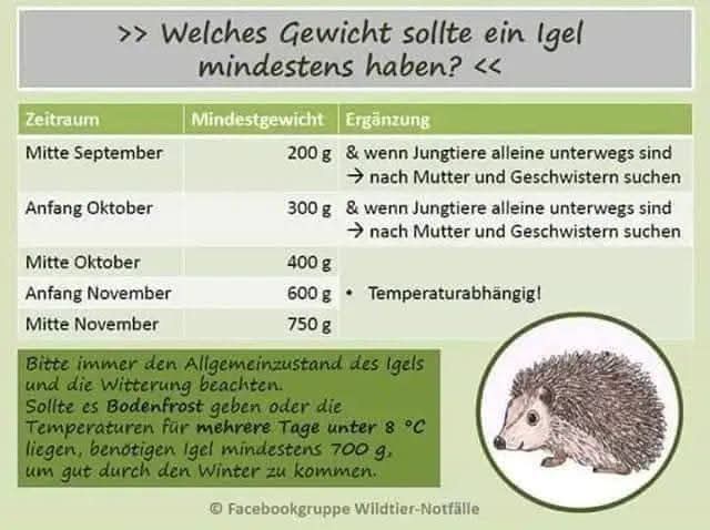 FB_IMG_1759938128871.jpg