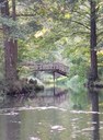 FB_IMG_1760120620380.jpg
