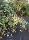FB_IMG_1760120626471.jpg