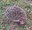 FB_IMG_1761563008335.jpg