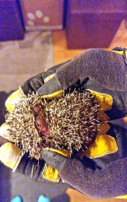 FB_IMG_1763417994370.jpg FB_IMG_1763417994370.jpg