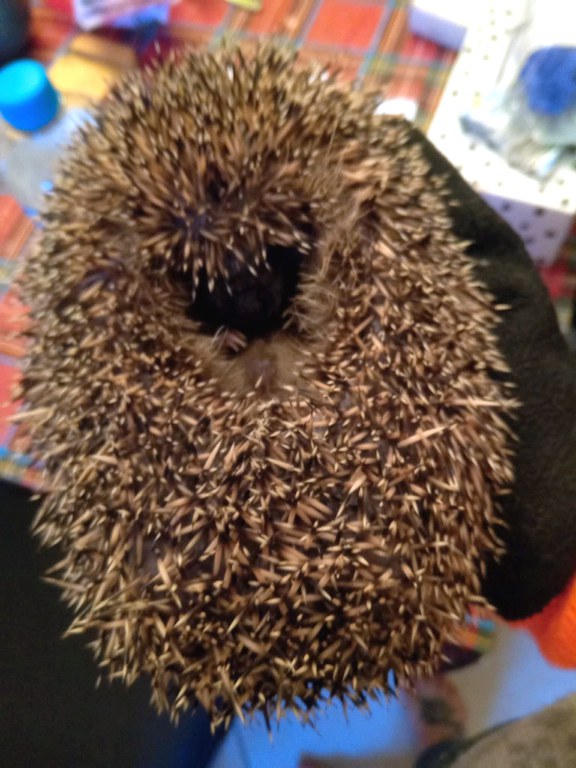 FB_IMG_1763418002663.jpg FB_IMG_1763418002663.jpg