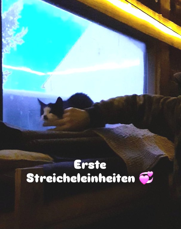 FB_IMG_1766843679664.jpg FB_IMG_1766843679664.jpg