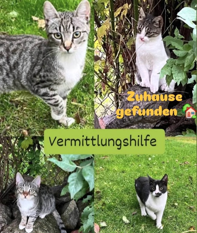 FB_IMG_1766843832087.jpg FB_IMG_1766843832087.jpg