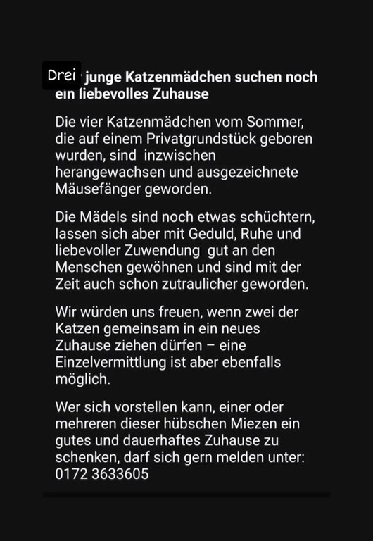 FB_IMG_1766843838549.jpg FB_IMG_1766843838549.jpg