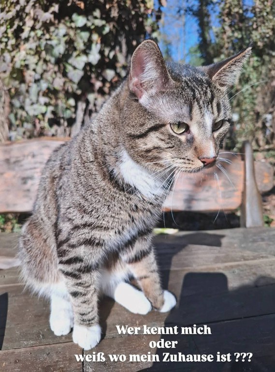 FB_IMG_1775326083170.jpg FB_IMG_1775326083170.jpg