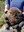 FB_IMG_1779291485869.jpg