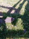 FB_IMG_1779291490310.jpg
