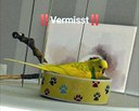 FB_IMG_1782816366948.jpg
