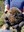 FB_IMG_1782903393812.jpg