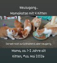 FB_IMG_1786546381618.jpg